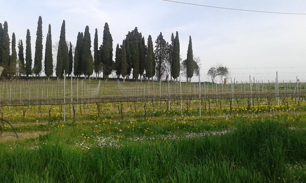Casa Margherita Lonato Luaran gambar